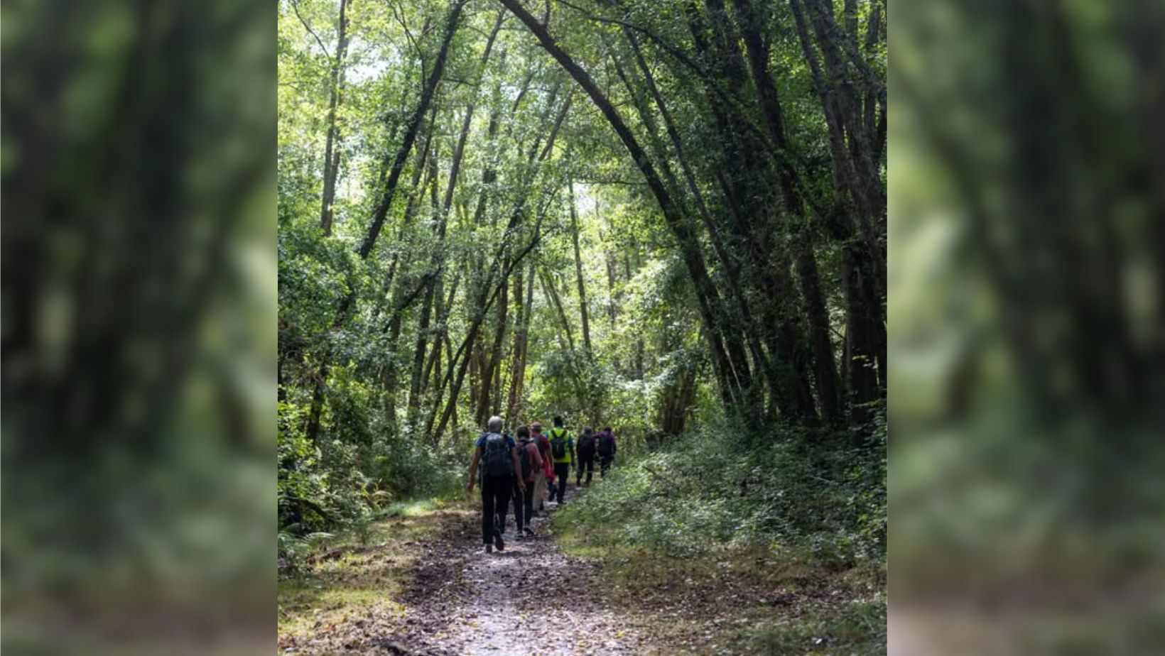fermeture des voies vertes et sentiers de randonnées